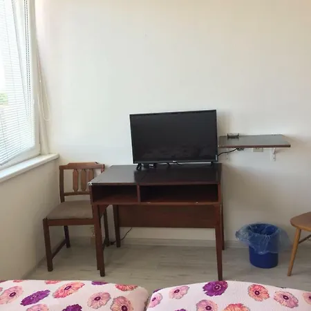 Saris 게스트하우스 3*